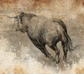 Sketch made with digital tablet, bull running