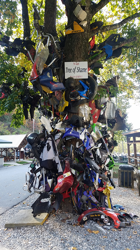 riding-the-dragon-tn-6